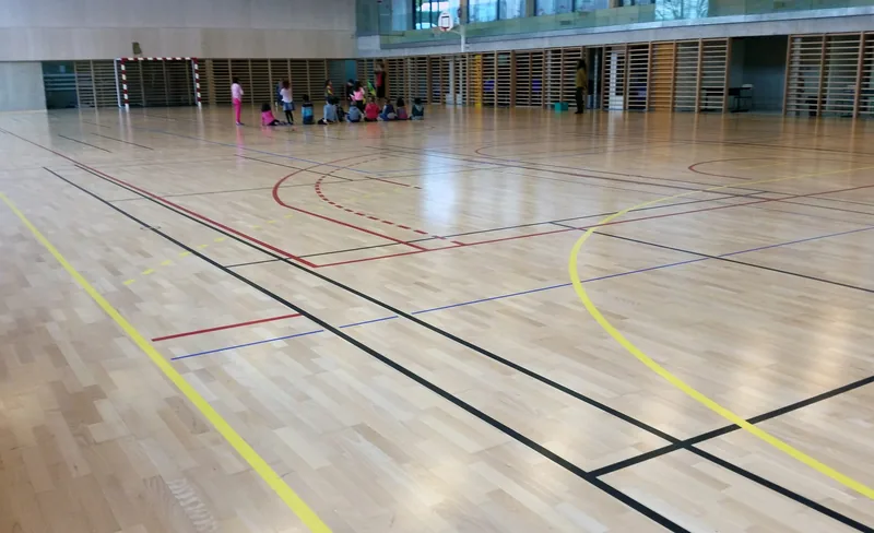 Sports and multipurpose flooring